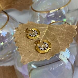 Zircon stainless steel‎ Earrings